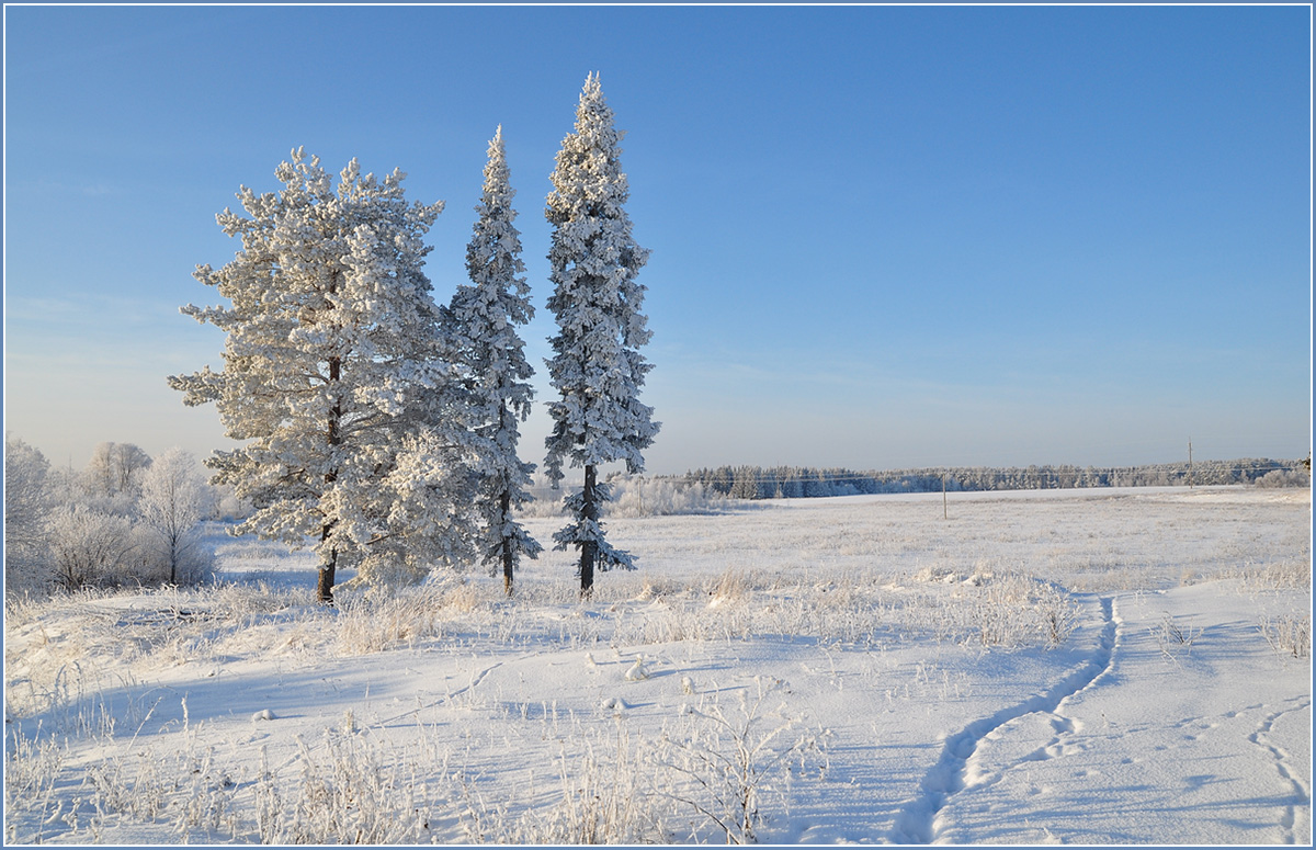 photo "***" tags: landscape, winter