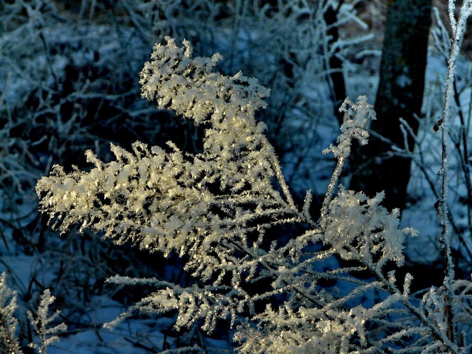 photo "***" tags: landscape, winter