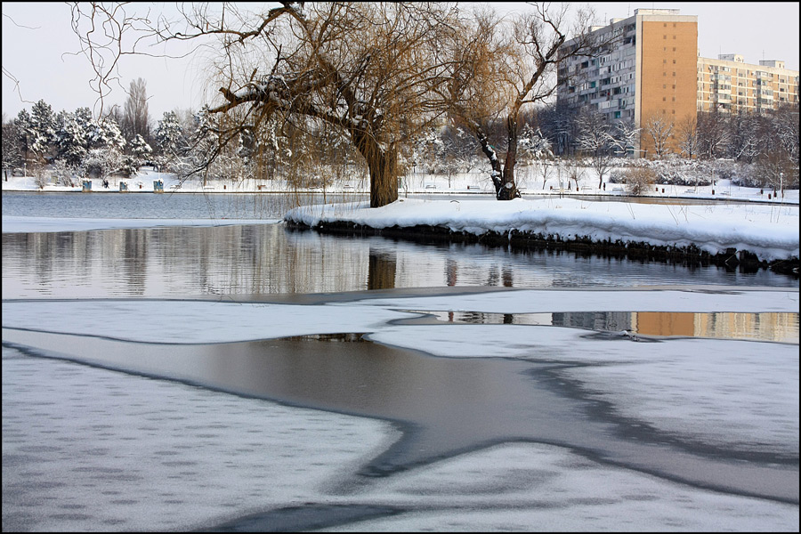 photo "The first frost / Первый мороз" tags: landscape, city, Bucharest, lake, parks, reflections, snow, trees, winter