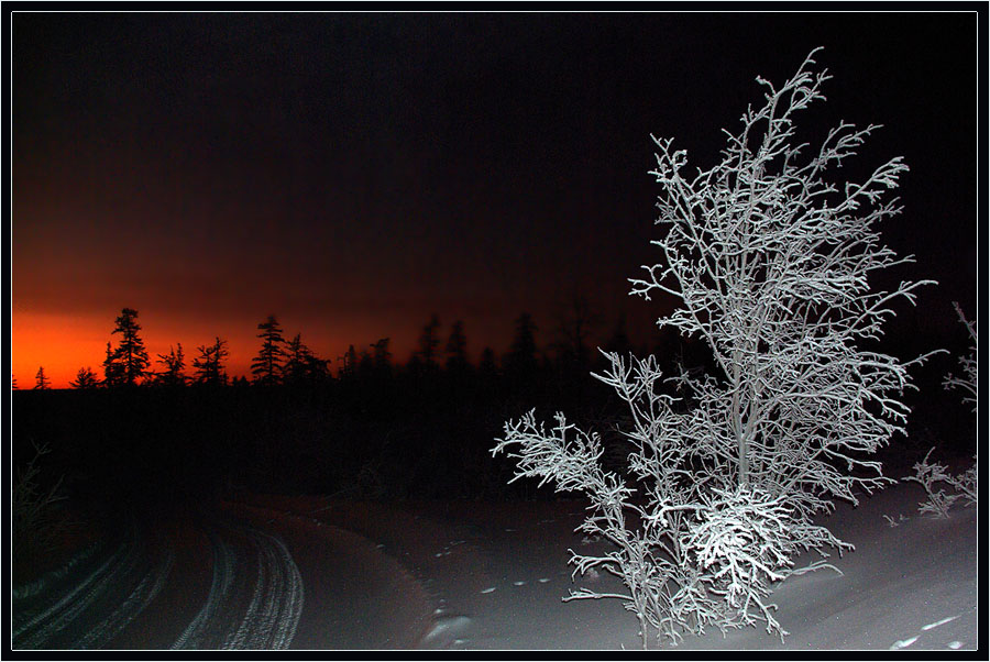 фото "По ночной дороге" метки: пейзаж, зима, лес