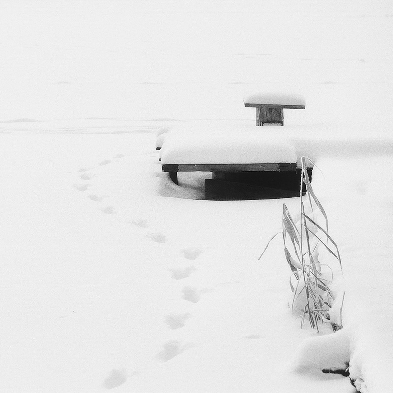 photo "***" tags: nature, 