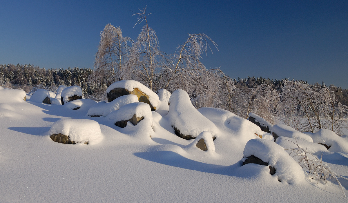 photo "***" tags: landscape, winter