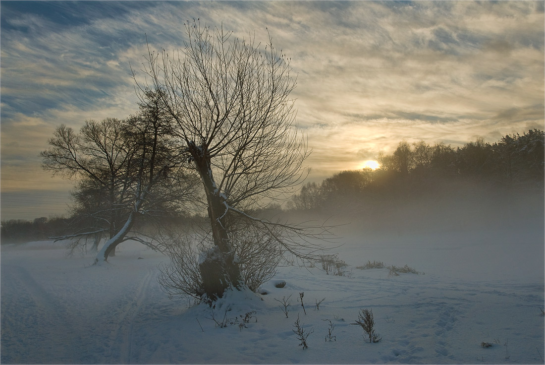 photo "***" tags: landscape, forest