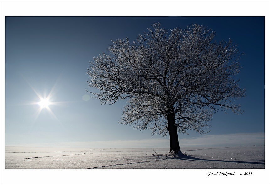 фото "endowed" метки: пейзаж, зима