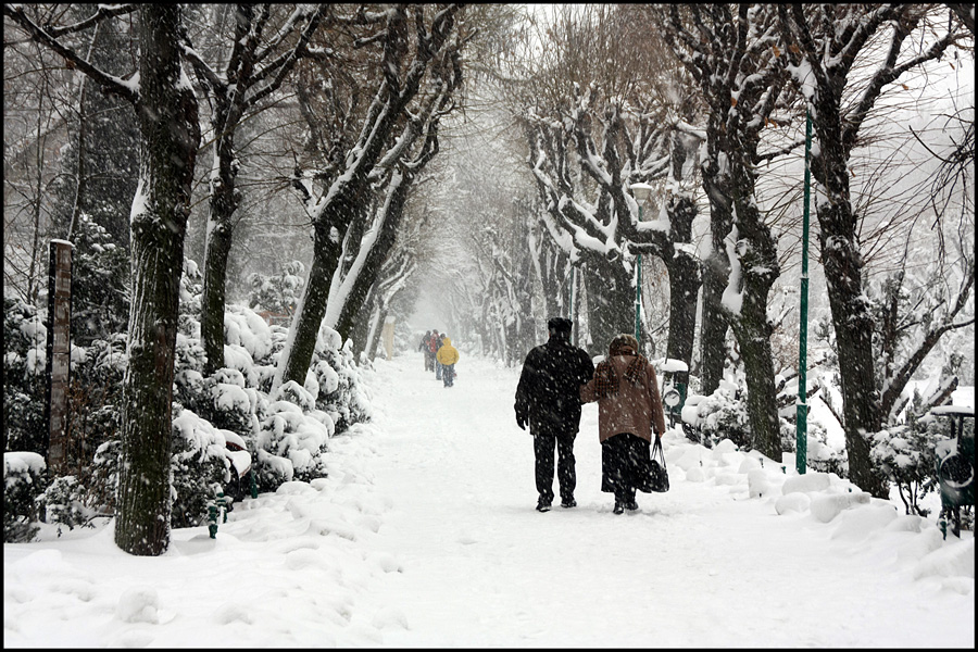 photo "In the middle of winter / В середине зимы" tags: landscape, city, Bucharest, parks, people, snow, tree, winter