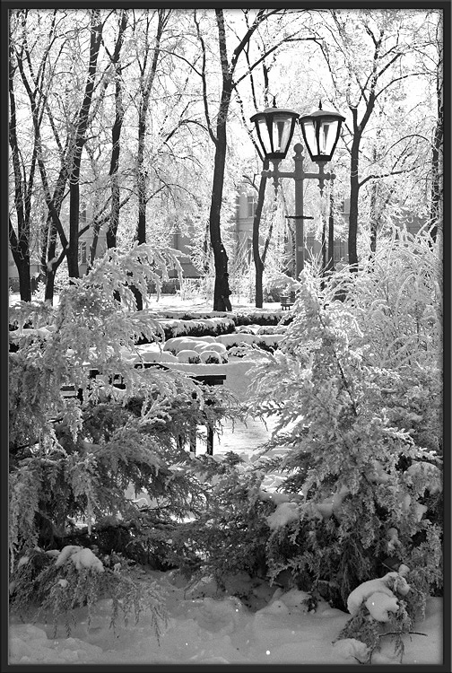 photo "Frosty" tags: landscape, black&white, winter