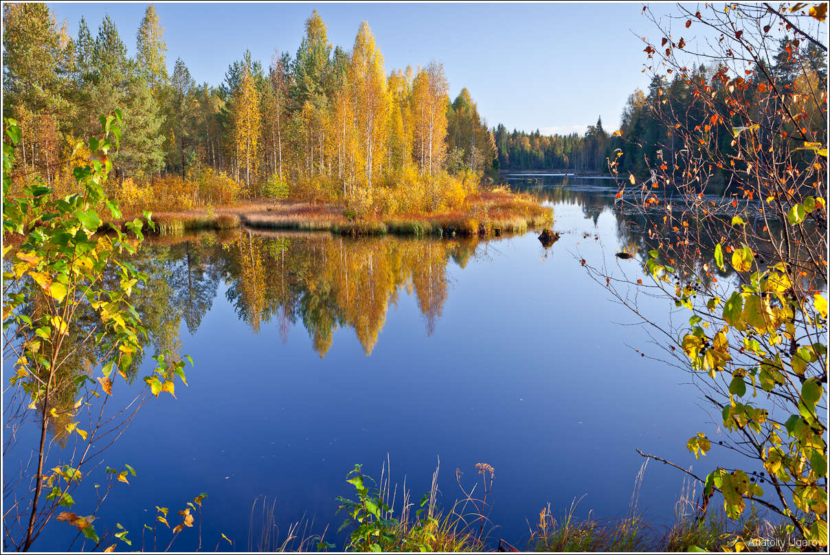 фото "Осень" метки: пейзаж, осень