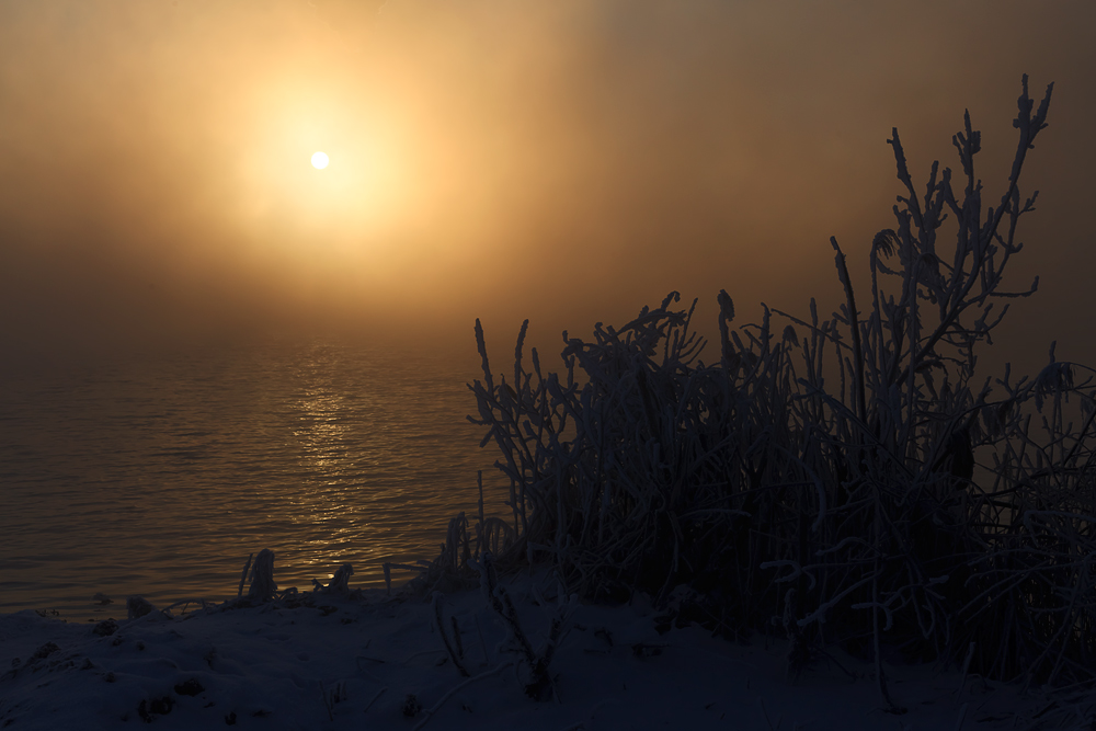 photo "***" tags: nature, 