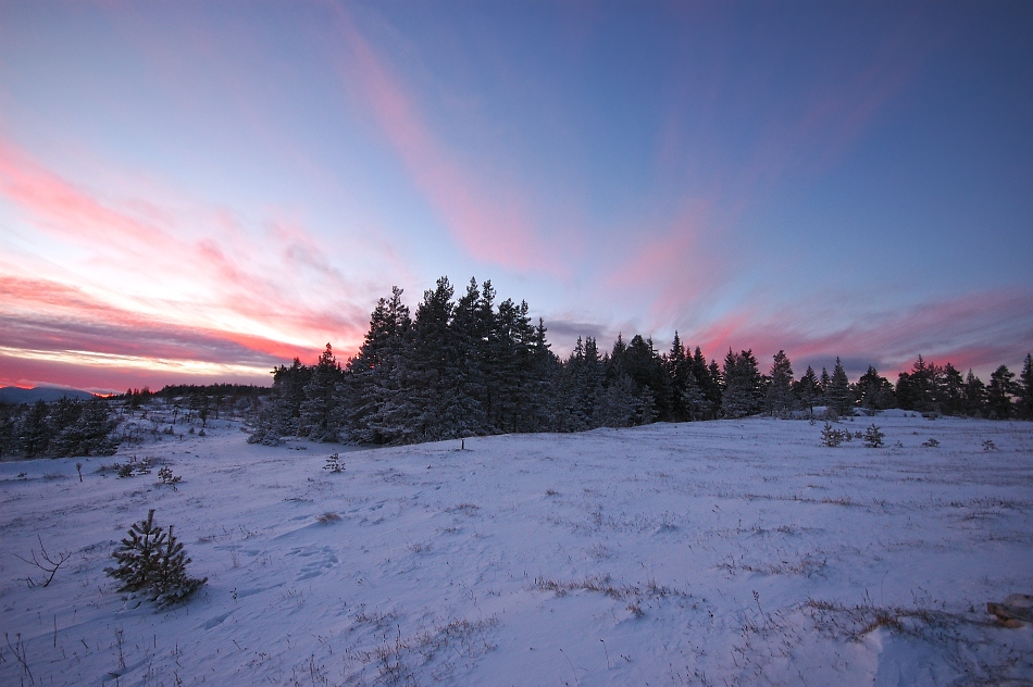 фото "Winter in Rodopi mountain-Bulgaria" метки: пейзаж, зима