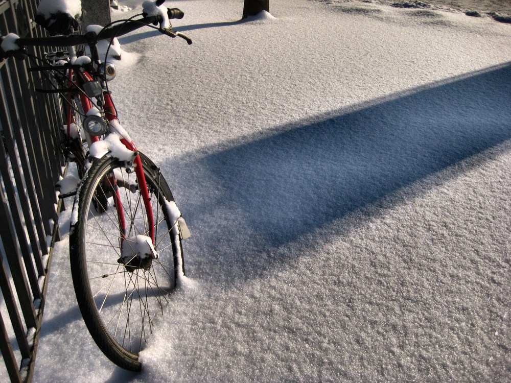 photo "The alien´s shadow" tags: misc., 
