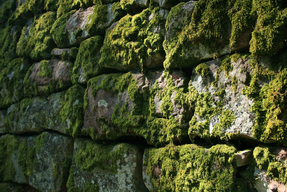 photo "Ancient stones" tags: travel, fragment, Europe