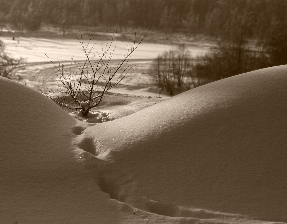 photo "***" tags: landscape, black&white, winter