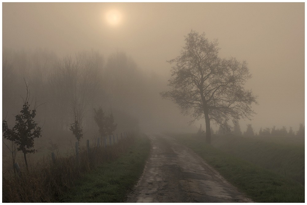 photo "***" tags: landscape, 