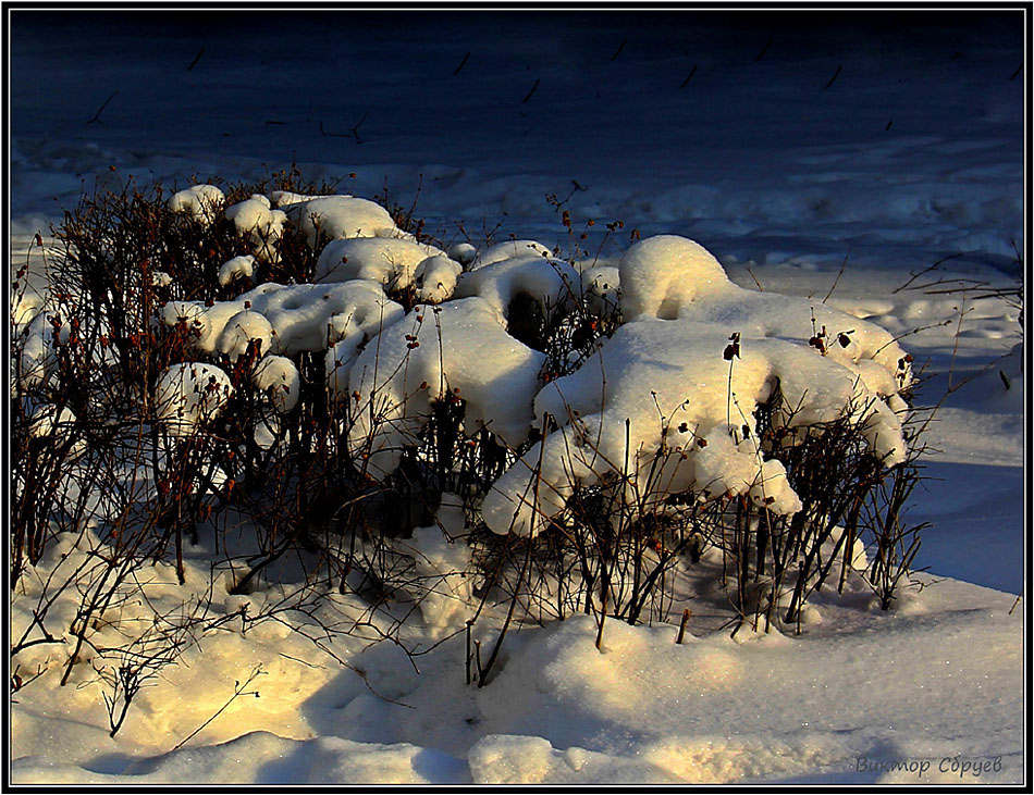 photo "***" tags: landscape, fragment, winter