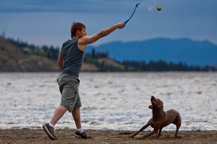 photo "playing with a dog" tags: nature, genre, pets/farm animals