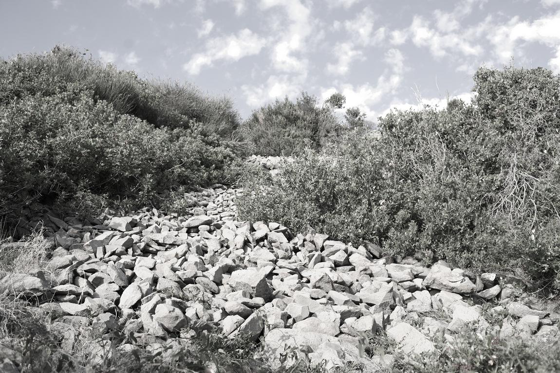 photo "dry stones (near the sea, summertime)" tags: genre, 