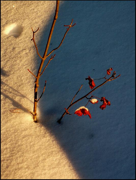photo "***" tags: landscape, winter