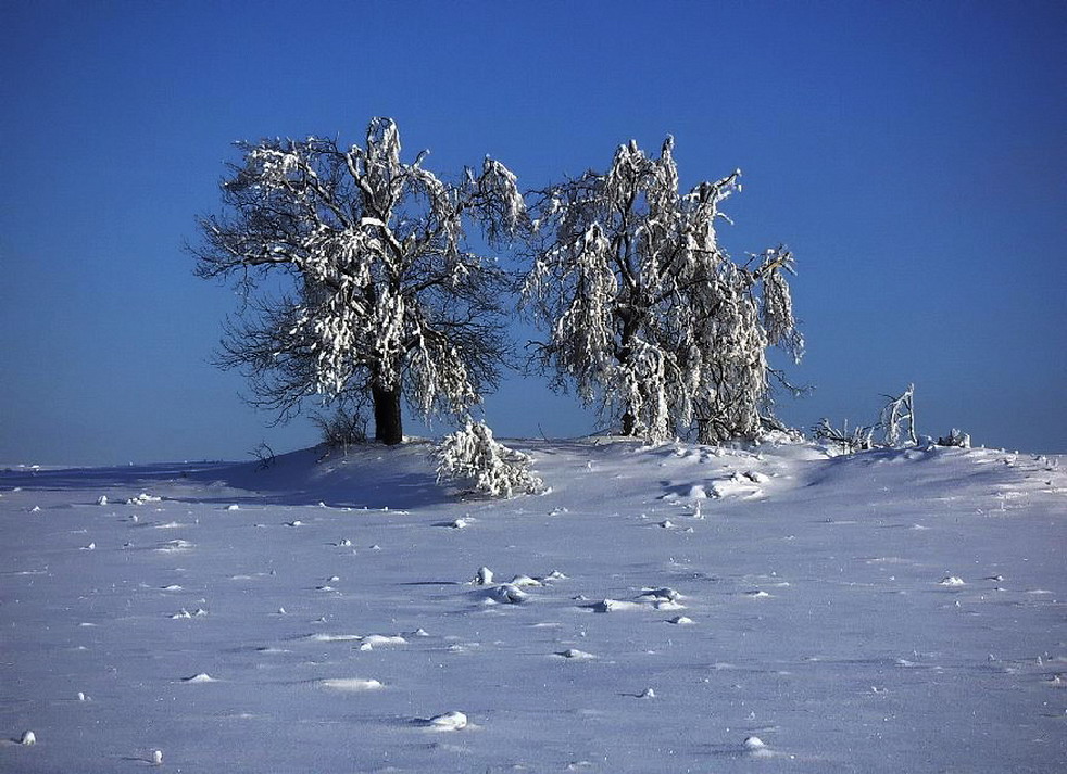 photo "***" tags: landscape, winter