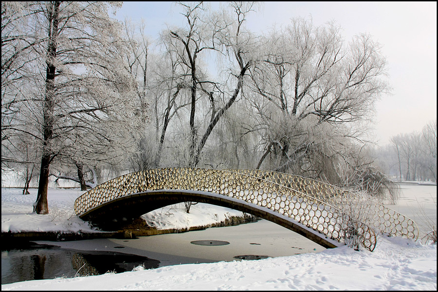 photo "Landscape with footbridge" tags: landscape, city, Bucharest, bridge, lake, snow, trees, winter