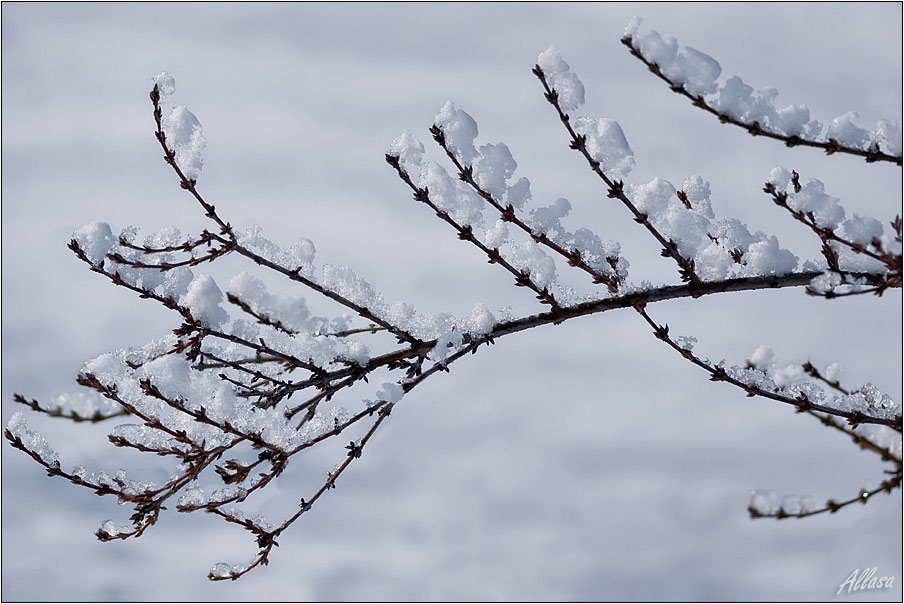 photo "***" tags: landscape, fragment, winter