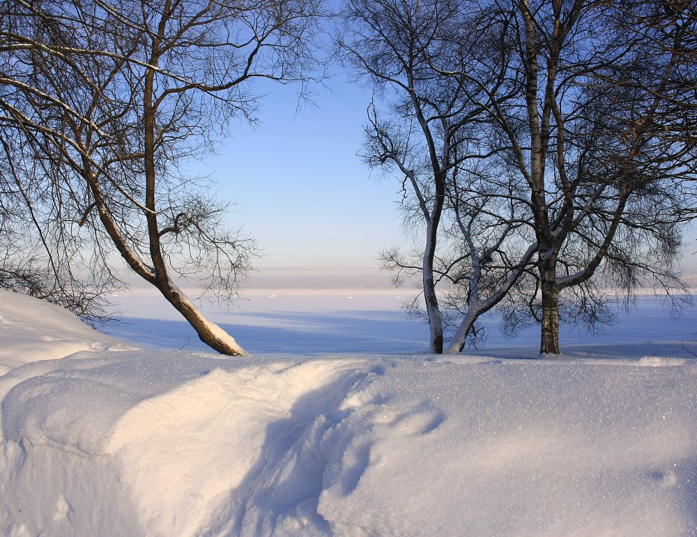 фото "зимний петергоф" метки: пейзаж, зима