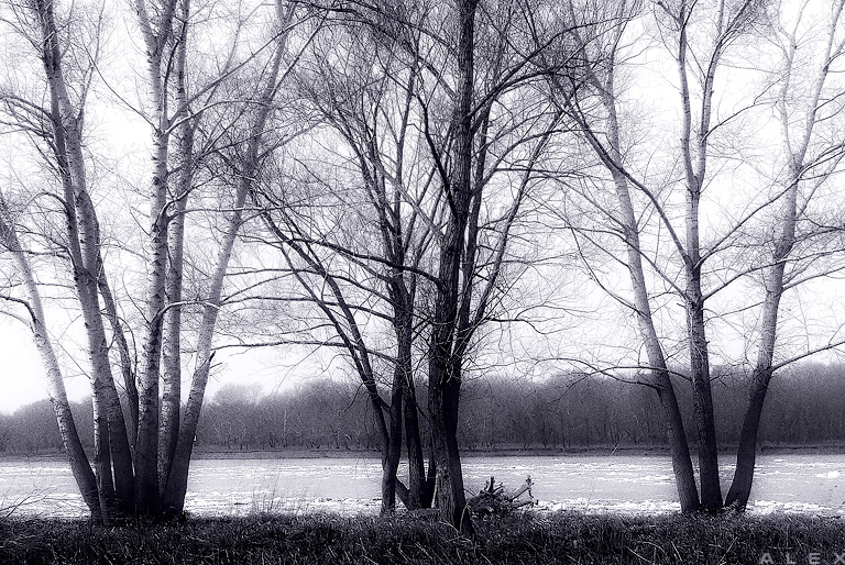 photo "***" tags: landscape, black&white, spring