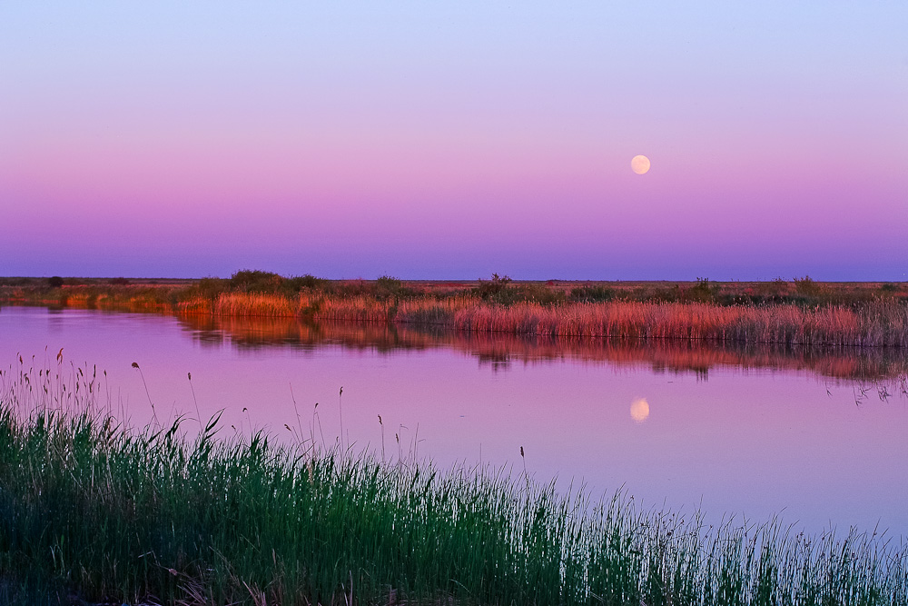 photo "***" tags: landscape, sunset