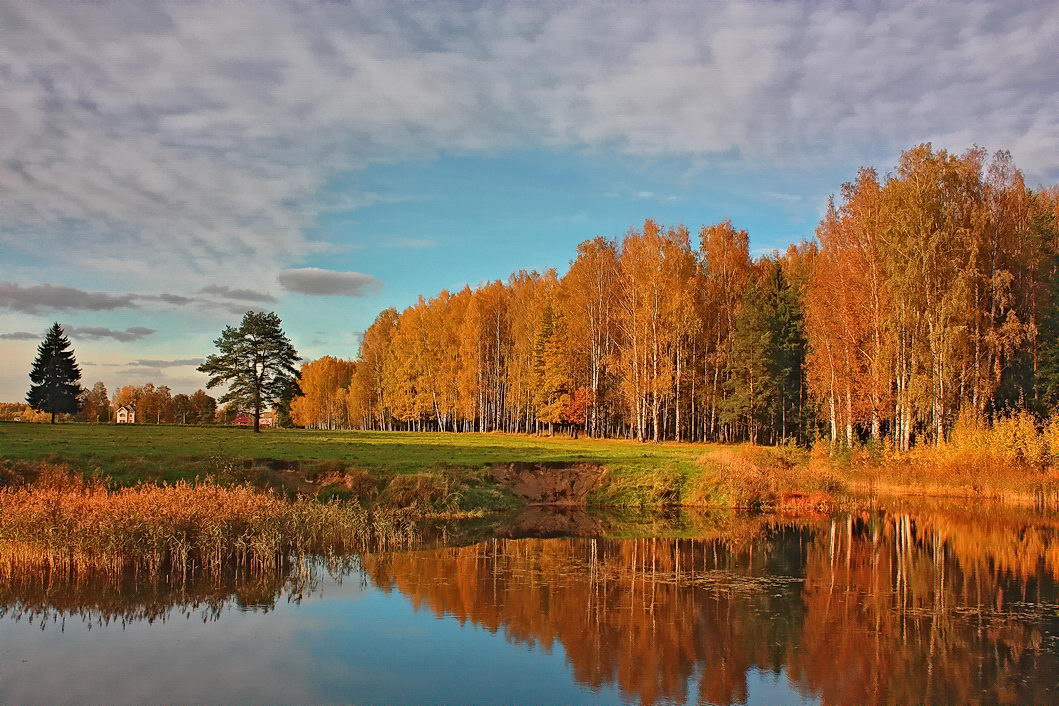 фото "***" метки: пейзаж, осень