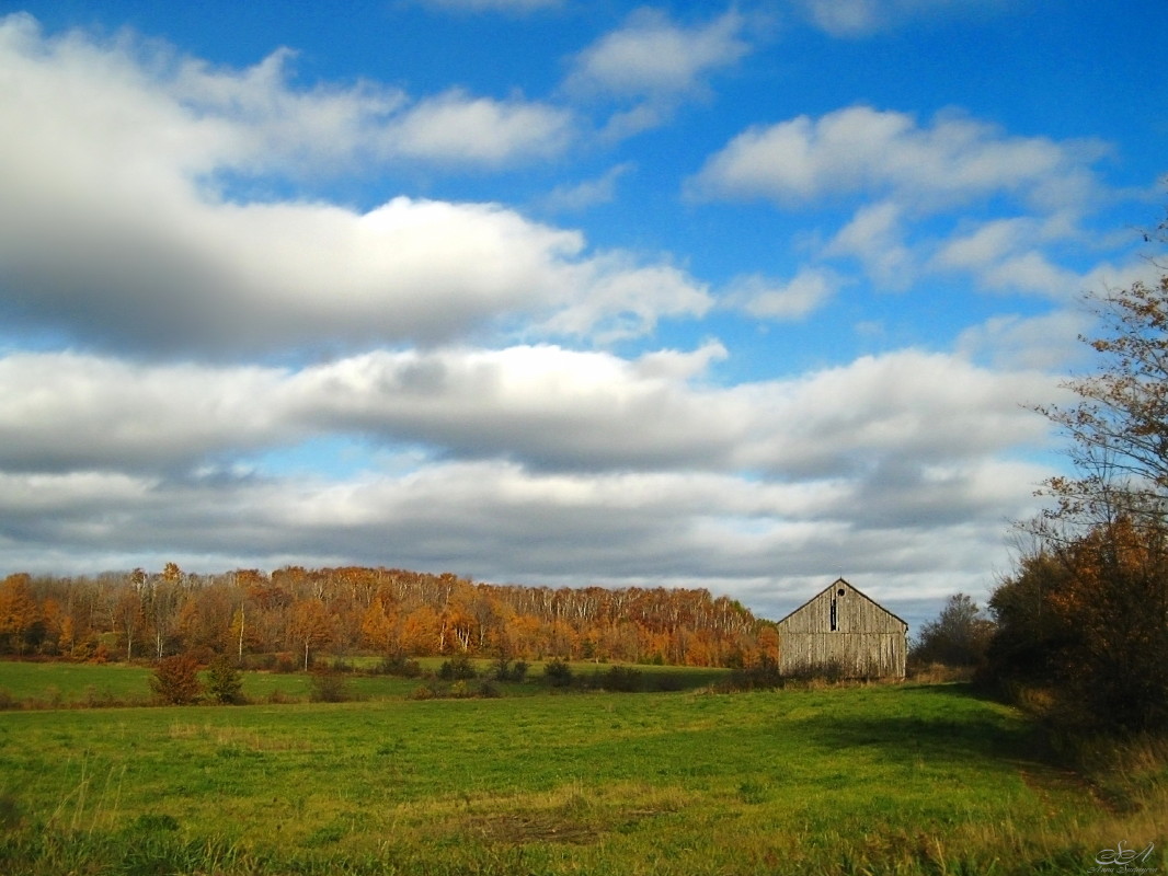 photo "Spread wings!" tags: landscape, autumn, clouds