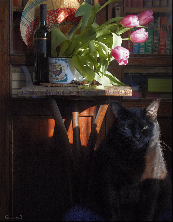 photo "Portrait of art connoisseur" tags: still life, portrait, 