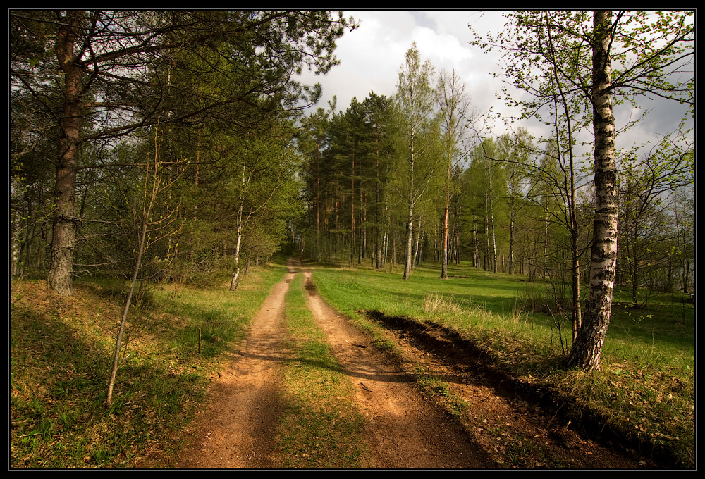 photo "***" tags: landscape, forest, spring