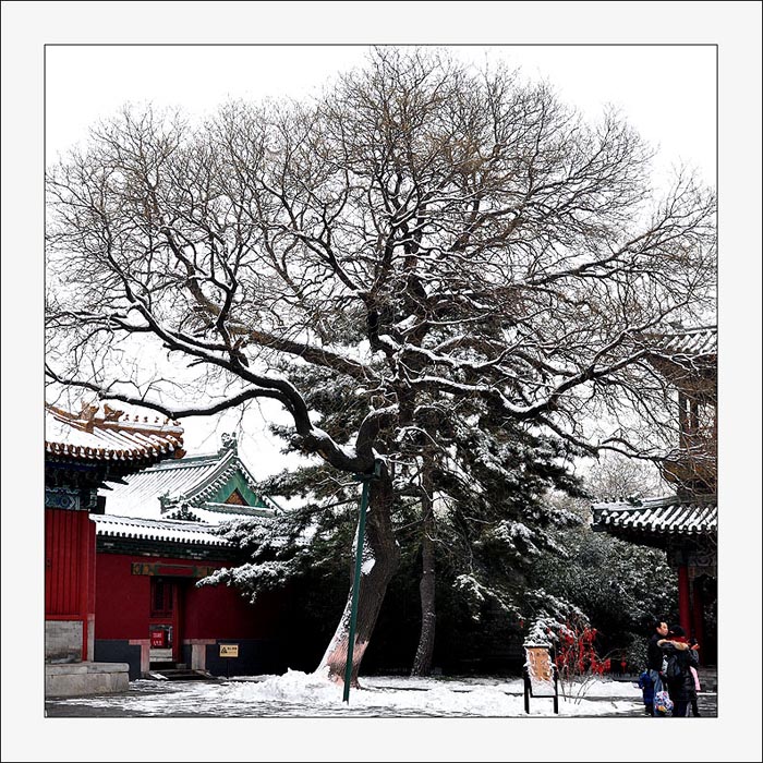 photo "beijing-30" tags: landscape, city, winter