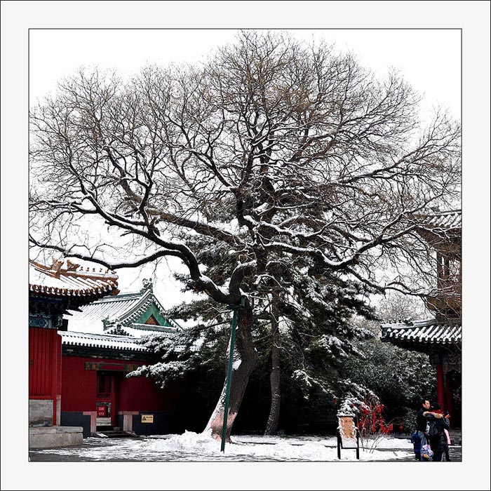 фото "beijing-30" метки: пейзаж, город, зима