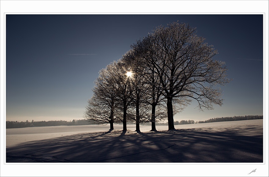 photo "group therapy" tags: landscape, winter