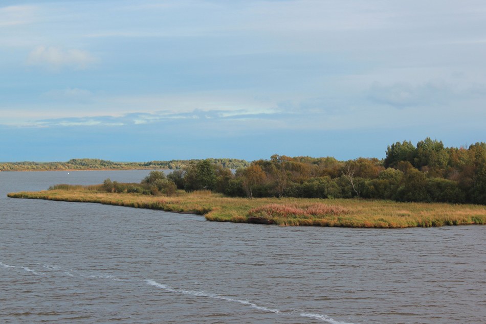 photo "River Sheksna.September." tags: landscape, autumn, water