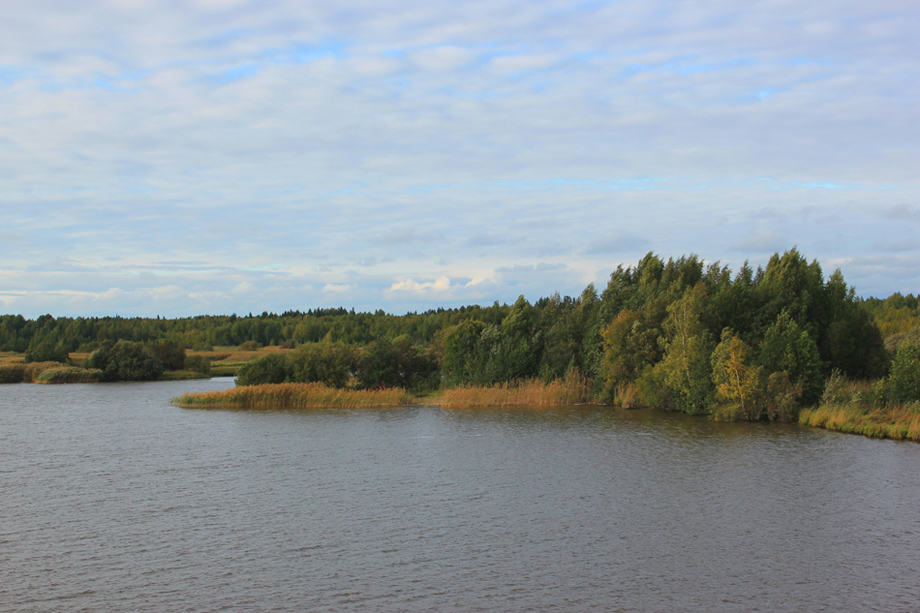 photo "River Sheksna" tags: landscape, autumn, water