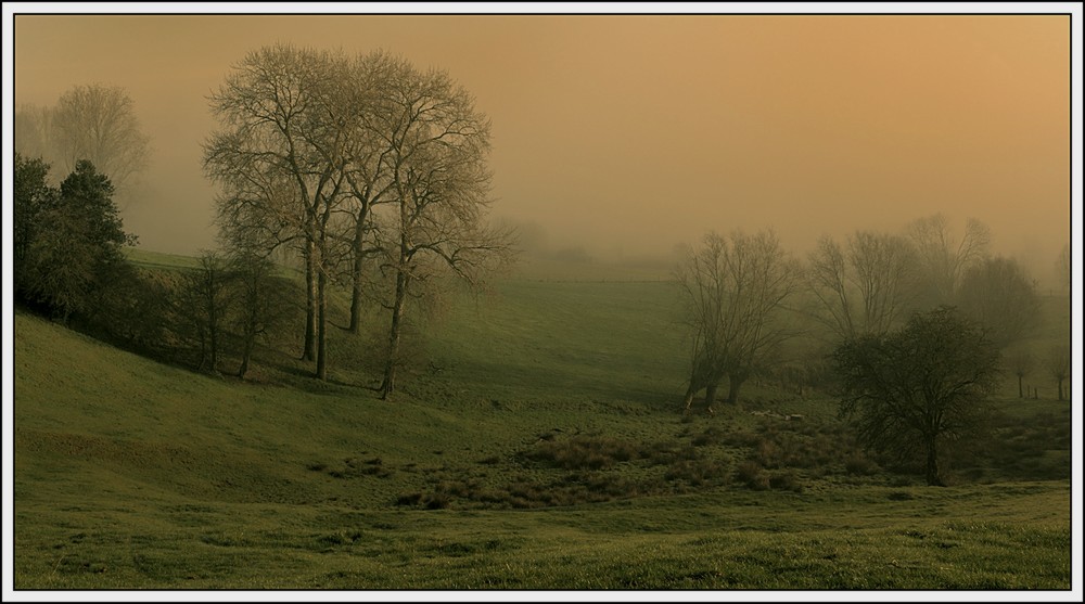 photo "***" tags: landscape, 