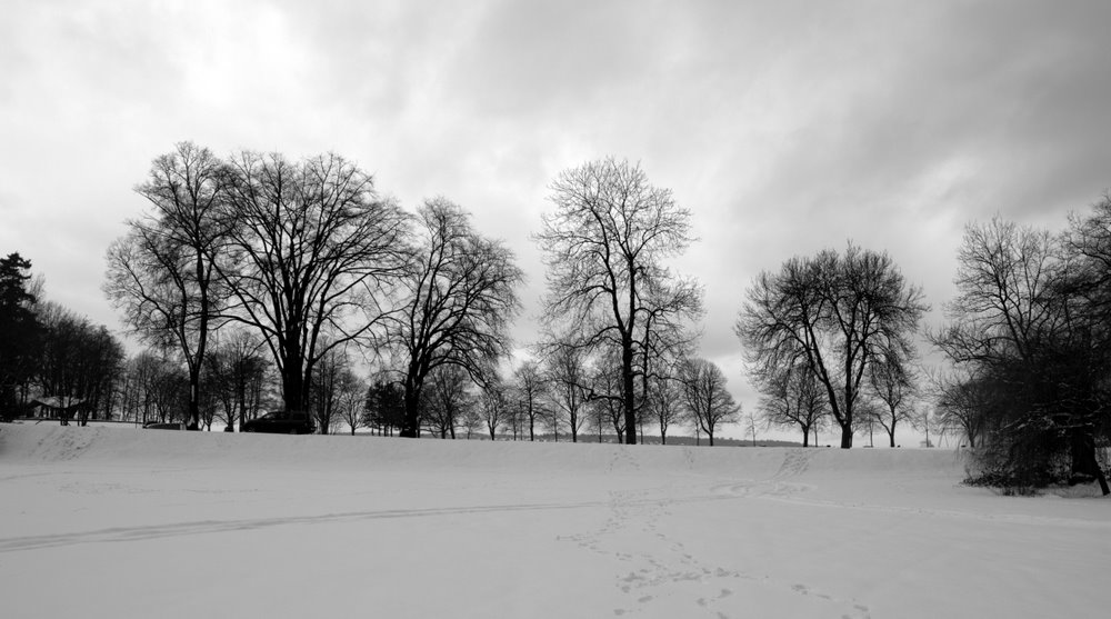 photo "***" tags: landscape, travel, North America, winter