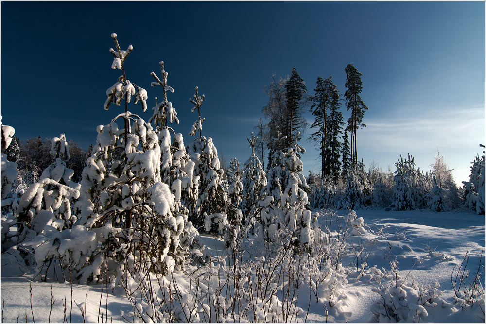 photo "***" tags: landscape, winter