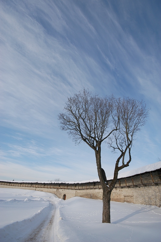 photo "***" tags: architecture, landscape, winter