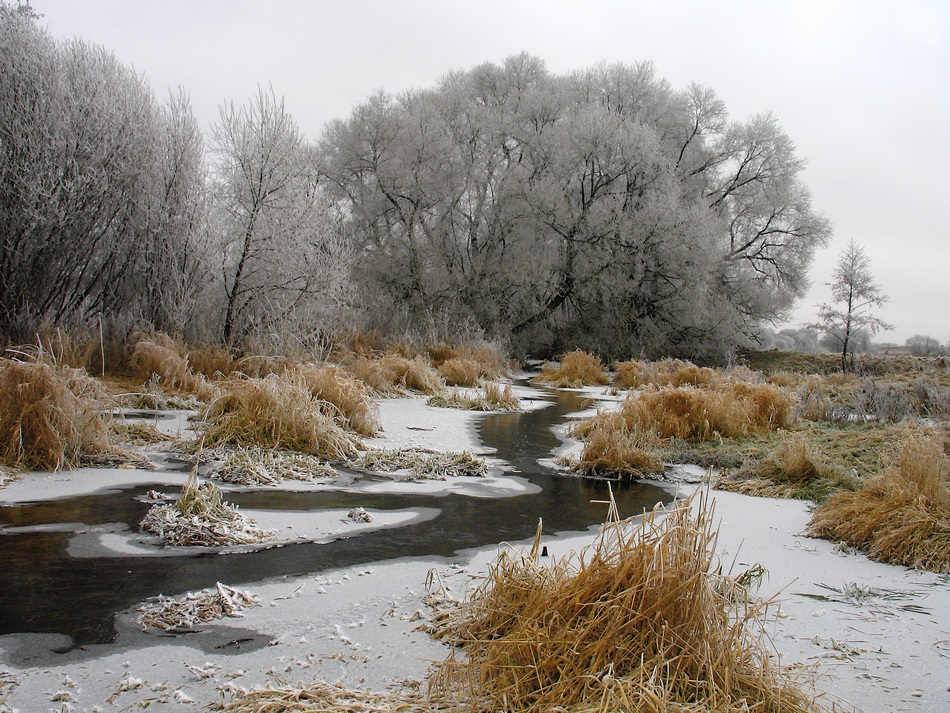 photo "***" tags: landscape, winter