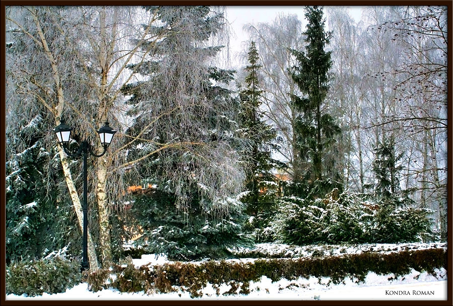 фото ""Дальний уголок старого парка"" метки: пейзаж, зима