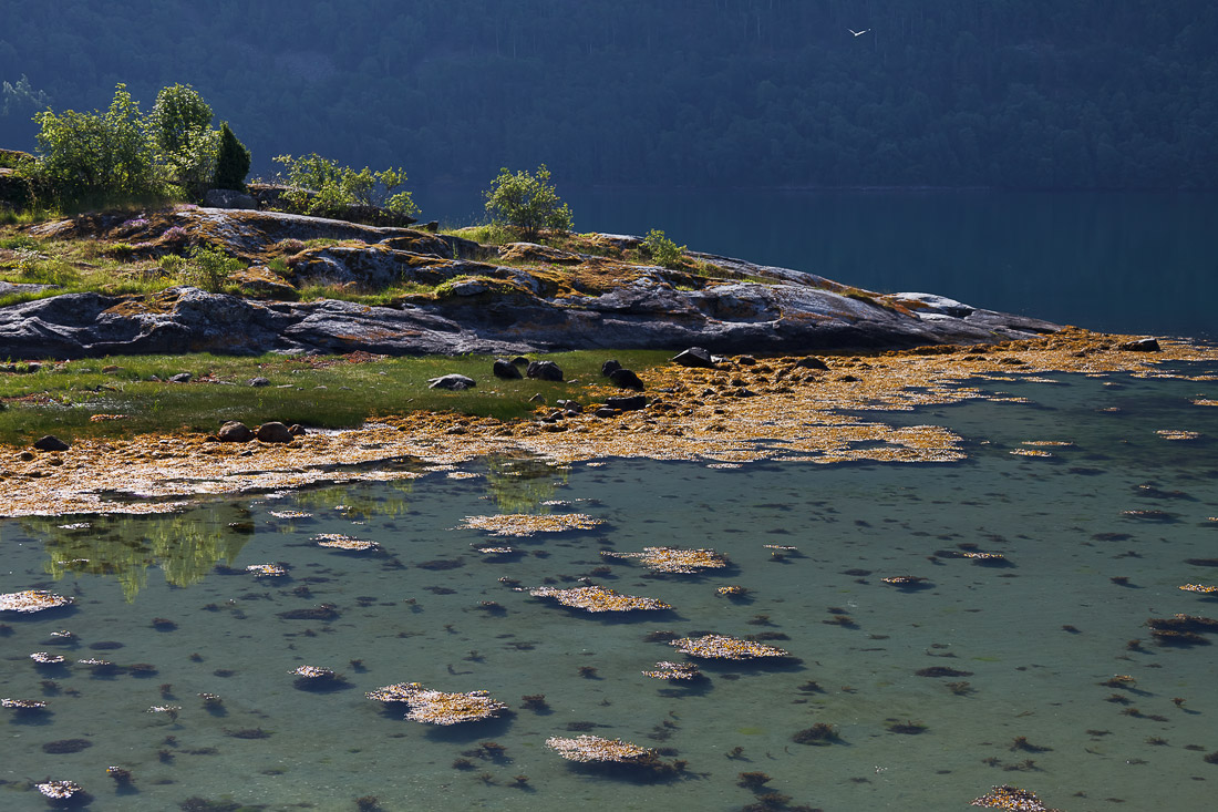 photo "***" tags: landscape, 