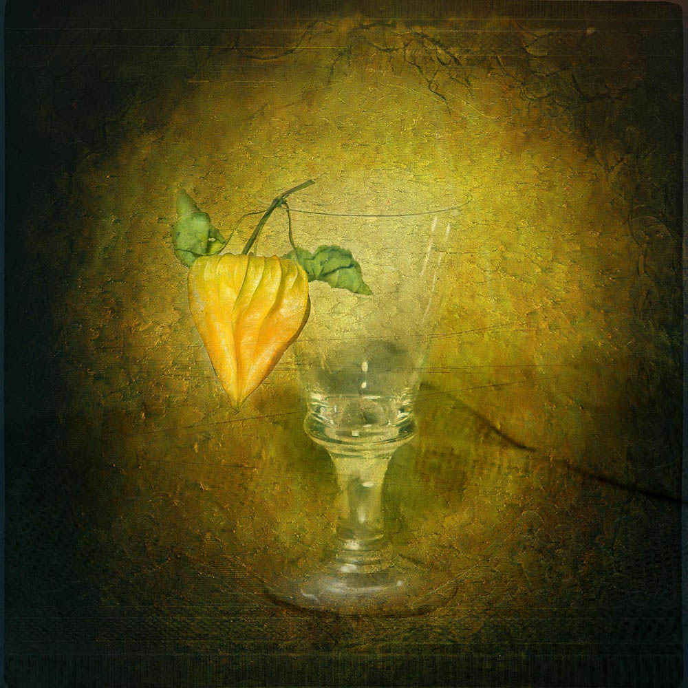 photo "Physalis & Glass" tags: still life, old-time, 