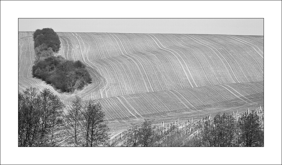 фото "***" метки: черно-белые, 