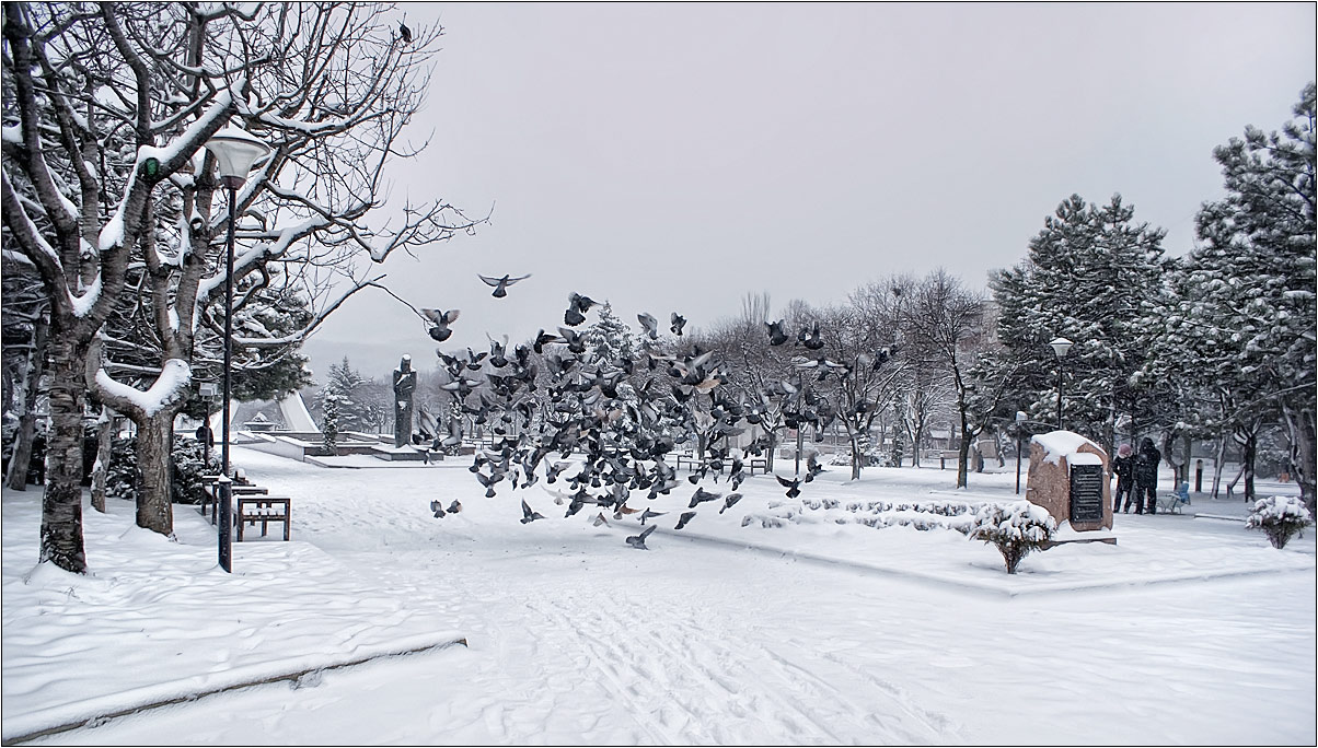 photo "***" tags: landscape, city, winter