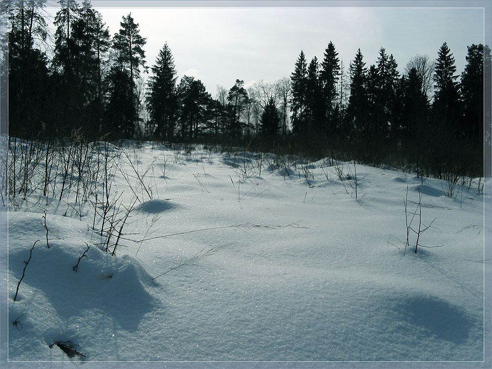 photo "March" tags: landscape, winter