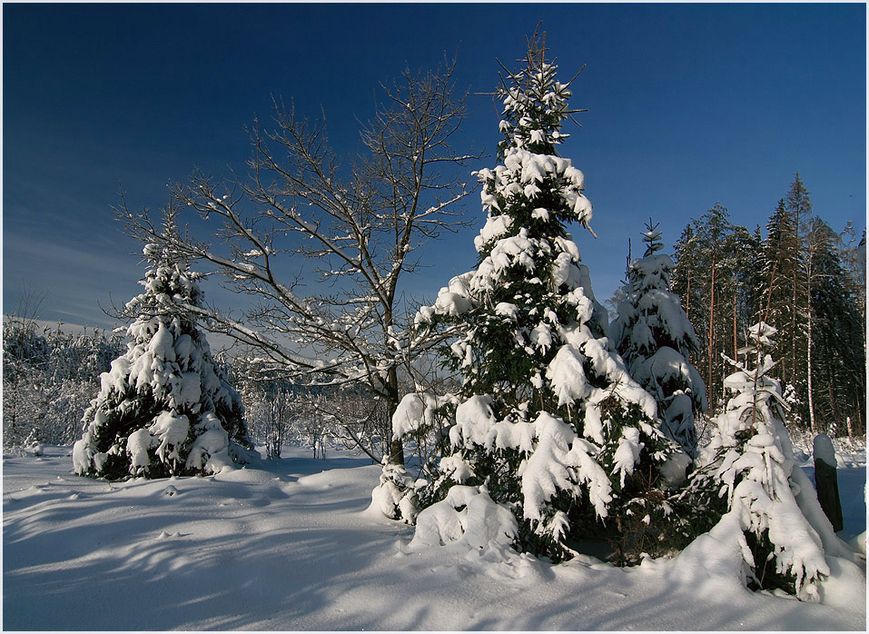 photo "***" tags: landscape, winter