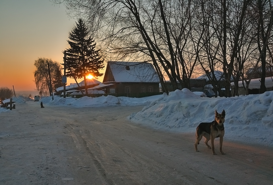 photo "***" tags: landscape, sunset, winter