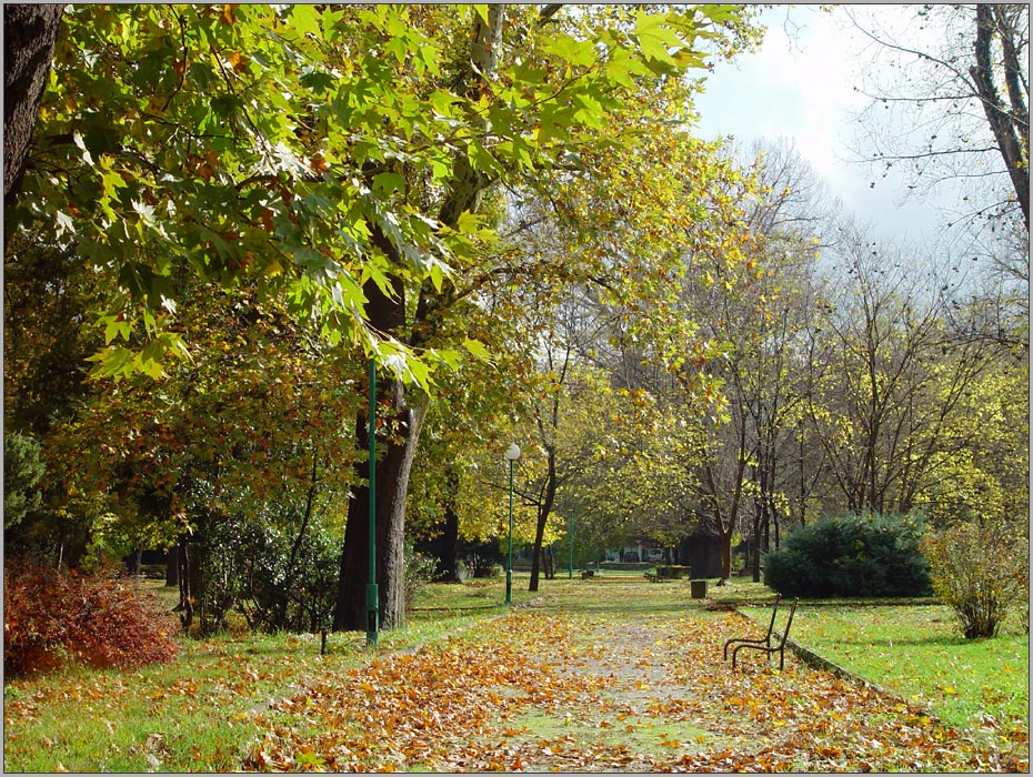 photo "***" tags: landscape, autumn